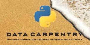 Data Carpentry Logo